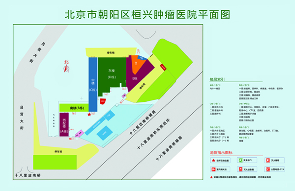 啊啊啊不要艹了我不要了好疼黄片操逼北京市朝阳区桓兴肿瘤医院平面图